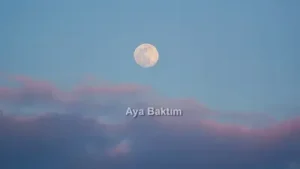Asu Maralman Aya Baktım Albüm Kapağı