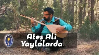 Ateş Ali Yaylalarım