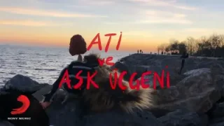 Atı ve Aşk Üçgeni Yaşlı Köpek