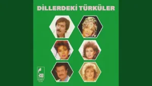 Atmacayı Vurdular Süreyya Davulcuoğlu