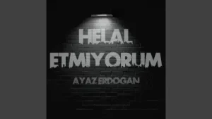 Ayaz Helal Etmiyorum Albüm Kapağı