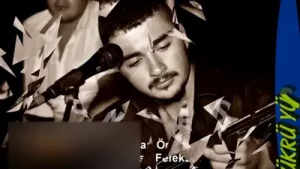 Aycan Öner Sen Nasıl Feleksin Albüm Kapağı
