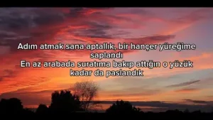 Aydilge & Taladro Aşk Paylaşılmaz Lyrics Şarkı Sözleri Tiktok Albüm Kapağı