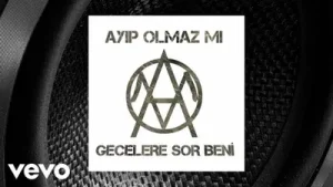 Ayıp Olmaz Mı Gecelere Sor Beni Albüm Kapağı
