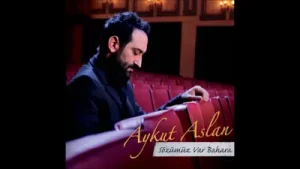 Aykut Aslan Sevmez Misin Albüm Kapağı