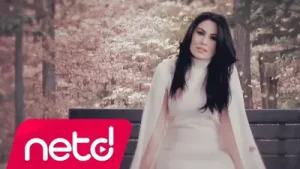 Ayla Sessiz Gemi Albüm Kapağı