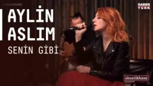 Cem Kayan – Elveda Sevgilim Albüm Kapağı