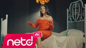 Aylin Demir Hoşgeldin Evime Albüm Kapağı