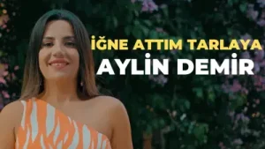Aylin Demir İğne Attım Tarlaya Halay Albüm Kapağı