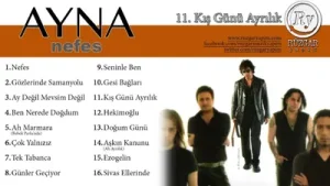 Ayna Kış Günü Ayrılık