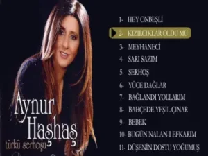 Aynur Haşhaş Kızılcıklar Oldumu
