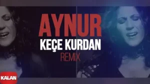 Aynur Keçe Kurdan Remix / Nêçîrvan Pel 2006 Kalan Müzik Albüm Kapağı