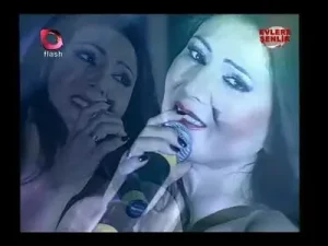 Ayşe Dinçer Akşam Akşam Albüm Kapağı