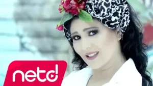 Ayşe Dinçer Senden Koca Olmazmış Albüm Kapağı