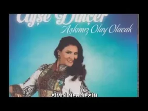 Ayşe Dinçer Şimdi Neredesin Albüm Kapağı