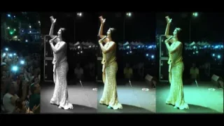 Ayşe Dinçer Terelelliler