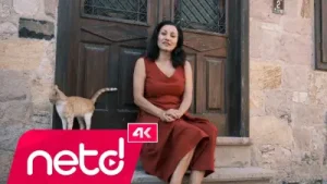 Ayşe Limanlar Gözden Kaybolsun Albüm Kapağı