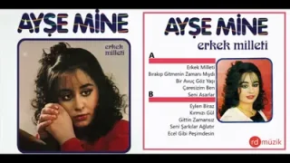 Ayşe Mine Erkek Milleti Full Albüm 1983
