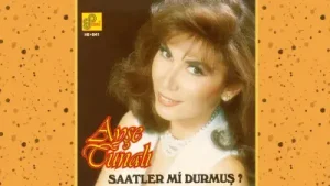 Ayşe Tunalı Gönder Bana Albüm Kapağı