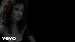Ayşegül Aldinç Böyle Bırakma Albüm Kapağı