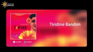 Ayşegül Tridine Bandım Kastamonu