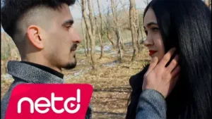 Aysel Çelik Kalemine Kaşına Albüm Kapağı