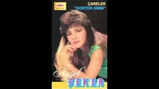 Aysel Şeker Güneş Yine Doğacak