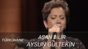 Aysun Gültekin Aşan Bilir Karlı Dağın Ardını Albüm Kapağı