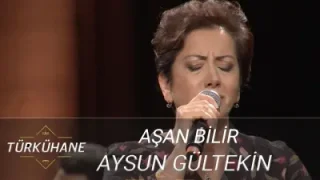 Aysun Gültekin Aşan Bilir Karlı Dağın Ardını