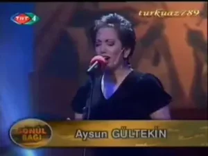 Aysun Gültekin Duman Duman Olmuş Karşıki Dağlar Albüm Kapağı