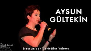 Aysun Gültekin Erzurum’dan Çevirdiler Yolumu Albüm Kapağı