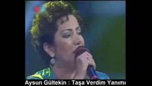 Aysun Gültekin Taşa Verdim Yanımı Albüm Kapağı