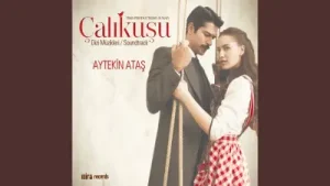 Aytekin Ataş – Gülbeşeker Albüm Kapağı