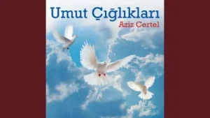 Aziz Certel Başaklar Albüm Kapağı