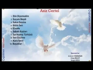 Aziz Çertel Dön Diyemedim Albüm Kapağı