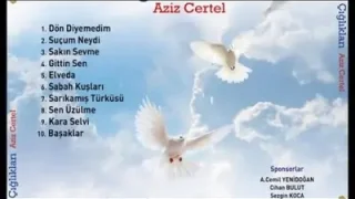 Aziz Çertel Dön Diyemedim