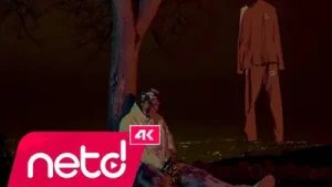 B8 Haliflex Albüm Kapağı