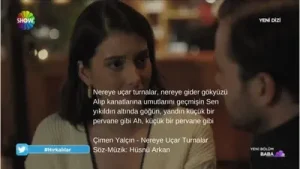 Baba Dizisi Nereye Uçar Turnalar Şarkısı İsterse Uçsun Turnalar Baba Şiiri Baba Albüm Kapağı