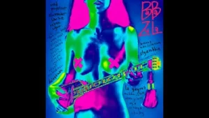 Baba Zula Israr
