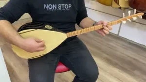 Bağlama Sesi Albüm Kapağı