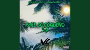 Baile Do Coqueiro 5 0 Slowed Reverb Dj Vil O Ds Dj Waan Dj Woody Original Albüm Kapağı