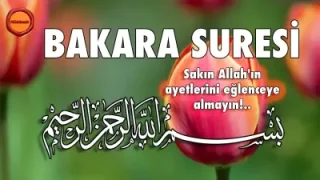 Bakara Suresi Nasser Al Qatami