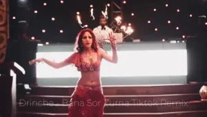 Bana Sor Zurna Tiktok Remix Drinche Albüm Kapağı
