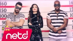 Banu Parlak Narin Yarim Albüm Kapağı