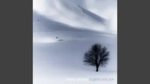 Barış Güney Karadır Kaşların Albüm Kapağı
