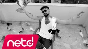 Baykuş Mesele Ne Albüm Kapağı