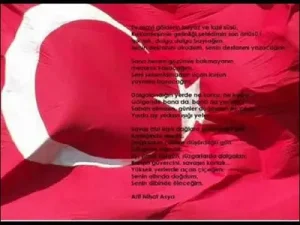 Bayrak Şiiri Fon Müziği Albüm Kapağı