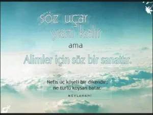 Bedirhan Gökçe Semti Yara Doğru Gider Albüm Kapağı