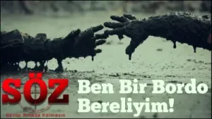 Ben Bir Bordo Bereliyim Albüm Kapağı