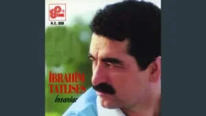 Ben Ne Biçim Serseriyim Albüm Kapağı